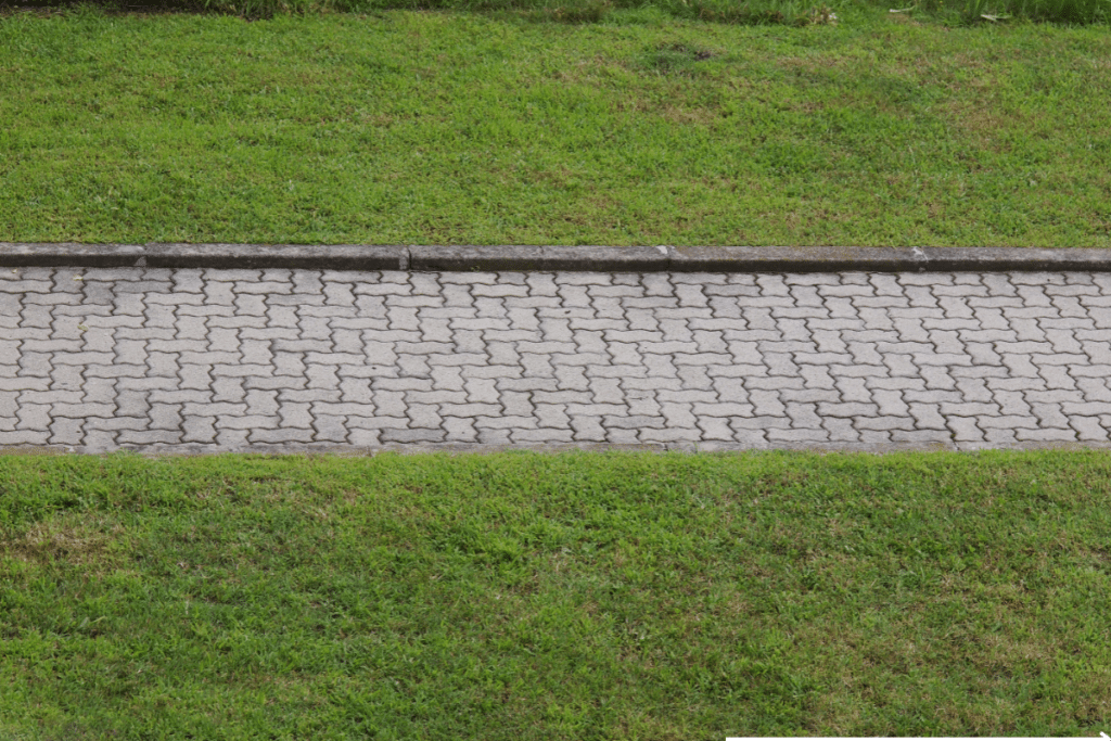 Sidewalk with beautiful green grass